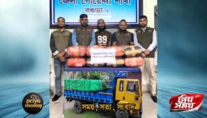 বগুড়ায় ডিবির অভিযানে ৮০ কেজি গাঁজা জব্দ, ট্রাকসহ গ্রেফতার ১
