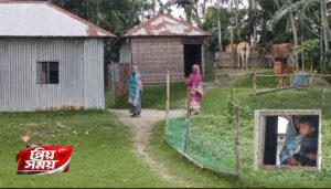 কুড়িগ্রামের চরে কোরবানির স্বপ্ন বিলাসিতা, অনেক ঘরে জুটবে না এক কেজি মাংসও