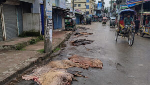 আমতলীতে পচা চামড়ার দুর্গন্ধে নাকাল পৌর শহর, ক্ষোভে ফুঁসছেন বাসিন্দারা