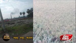 সিরাজগঞ্জের তাড়াশে ইটভাটার কালো ধোঁয়ায় ৪০ বিঘা ধান পুড়ে নিঃস্ব কৃষক