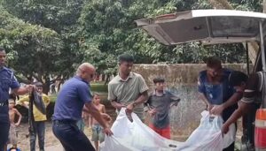 বগুড়া শেরপুরে ইউক্যালিপ্টাস গাছে ঝুলন্ত বৃদ্ধের মরদেহ উদ্ধার