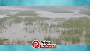 কুড়িগ্রামে হু হু করে বাড়ছে নদ-নদীর পানি, তিস্তার পানি বিপদসীমা ছুঁইছুঁই