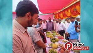 আমতলীতে জাতীয় ফল মেলা অনুষ্ঠিত