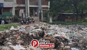 নাক চেপে চলে পথচারী, ক্লাসে দুর্গন্ধ! ফরিদগঞ্জে ময়লার পাহাড়ে অতিষ্ঠ জনজীবন