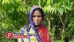 জীবনে একসঙ্গে এত মাংস পাইনি— ঈদের আনন্দে ভাসলেন আমতলীর বকফুল বেগম