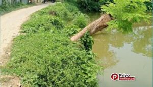 সিরাজগঞ্জ তাড়াশে যত্রতত্র পুকুর খননে কোটি টাকার রাস্তা এখন পুকুরের পেটে