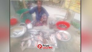 সুন্দরগঞ্জে পিরানহাকে রূপচাঁদা নামে বিক্রি