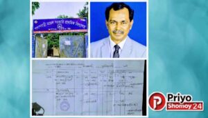 পলাশবাড়ী মডেল সরকারী প্রাথমিক বিদ্যালয় সভাপতি নির্বাচন নিয়ে বিতর্ক: যা বললেন নবনির্বাচিত সভাপতি