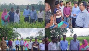 সরকারি বীজে হাসি ফুটেছে পঞ্চগড়ের কৃষকের মুখে: উপসচিবের মাঠ পরিদর্শন
