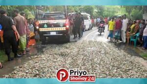 সাতক্ষীরায় ভেজাল বাগদা চিংড়ি: ১৪ লাখ টাকার চালান জব্দ