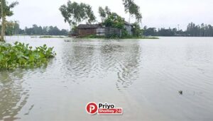 বন্যার পানি কমলেও কুড়িগ্রামে শেষ হয়নি দুর্ভোগ, কৃষকের ৫০০ হেক্টর ফসল ক্ষতিগ্রস্ত