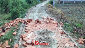 গ্রামীণ রাস্তার দুই পাশে ইট আর মাঝখানে মাটি : চরম ভোগান্তিতে গ্রামবাসী