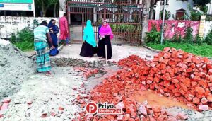 আশিকাটি ইউপিতে যাতায়াতের নতুন রূপ, উদ্যোগে প্রশাসক