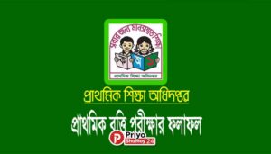 শ্যামনগরে প্রাথমিক বৃত্তি পরীক্ষায় উত্তীর্ণ ট্যালেন্টপুল ৫৬ ও সাধারণ বৃত্তি ১০৫