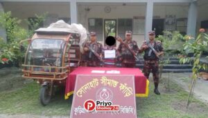 কুড়িগ্রামে বিজিবির পৃথক অভিযানে গাঁজা, ইয়াবা সহ ৩ চোরা কারবারি আটক