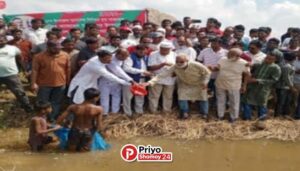 সিরাজগঞ্জ তাড়াশে উম্মুক্ত জলাশয়ে ৫০ মণ পোনা মাছ অবমুক্ত