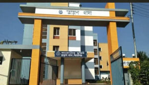 সিরাজগঞ্জ তাড়াশে মাত্র ৮ দিনের ব্যবধানে ১০টি গরু চুরি
