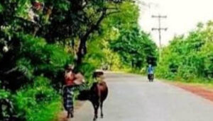 কিশোর গ্যাংয়ে জিম্মি : মনিরামপুরের ইত্যা গ্রাম মাদক সন্ত্রাসে একাকার