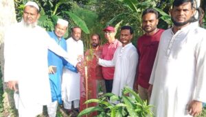 কল্যাণপুর ইউনিয়নে বিএনপির বৃক্ষরোপণ কর্মসূচি